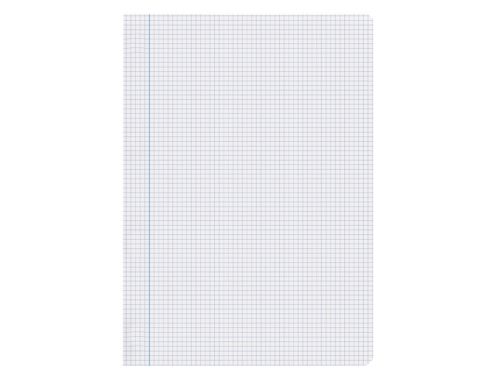 RECAMBIO LIDERPAPEL A4 100 HOJAS 75GR CUADRO 4MM CON MARGEN SIN TALADROS