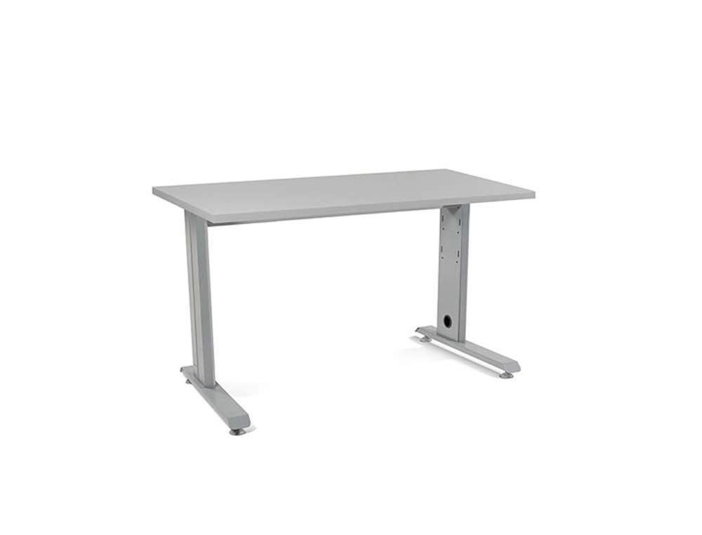 MESA DE OFICINA ROCADA METAL 2000AC02 GRIS/GRIS 120X60 CM