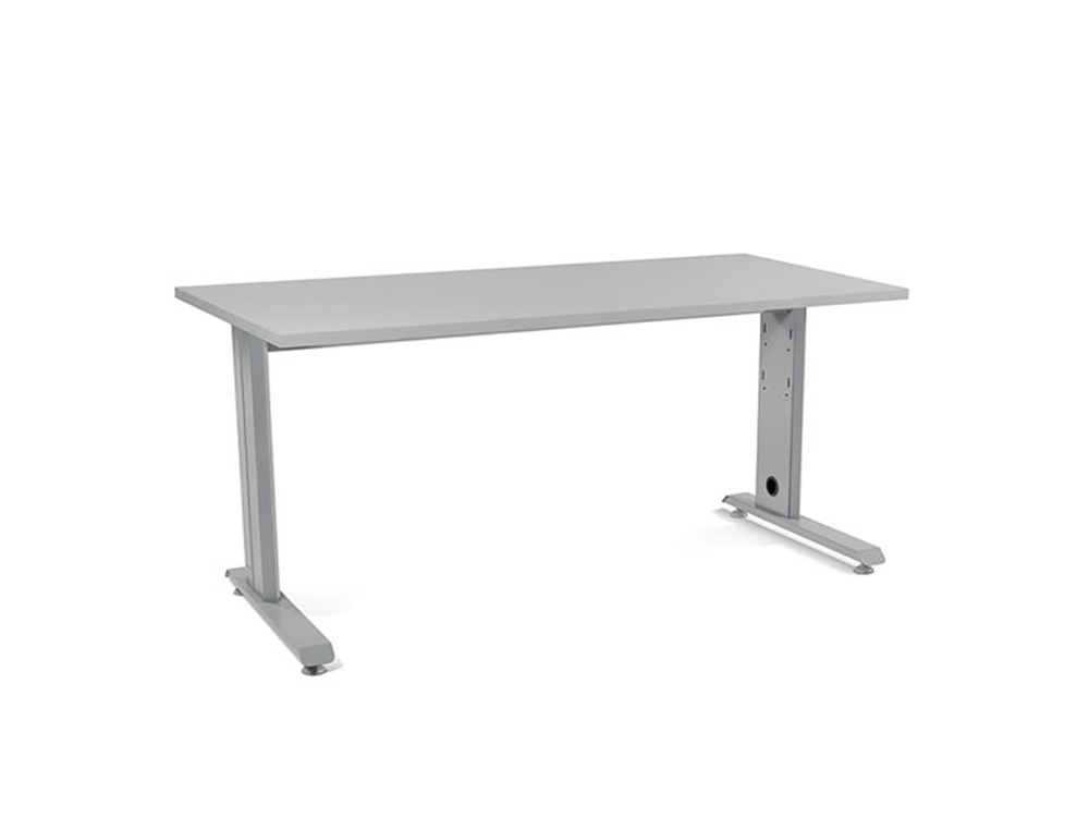 MESA DE OFICINA ROCADA METAL 2002AC02 GRIS/GRIS 160X80 CM
