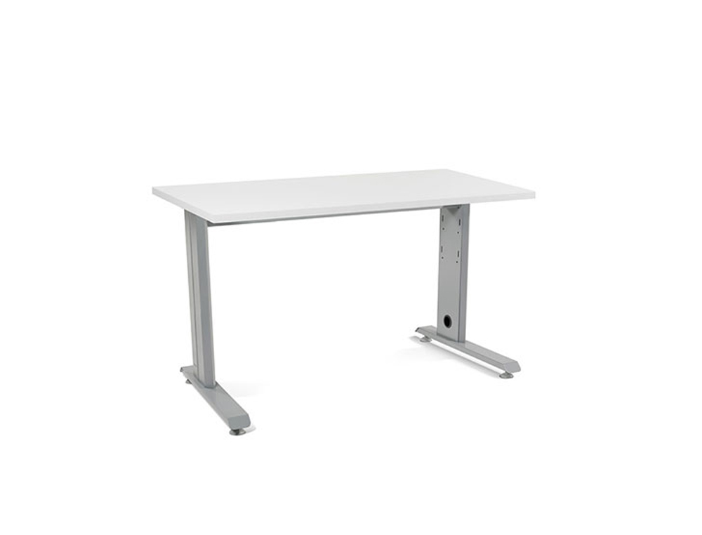 MESA DE OFICINA ROCADA METAL 2000AC04 GRIS/BLANCO 120X60 CM